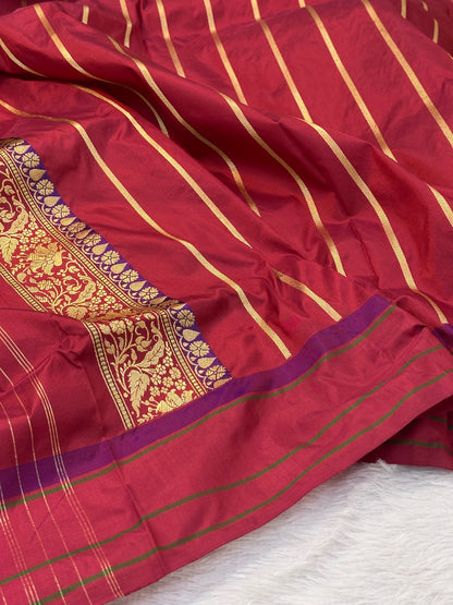 Gold color Handwoven Pure Organza Tissue Silk Banarasi Saree