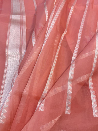 Pastel Shade Pure Organza Silk Handwoven Banarasi Saree